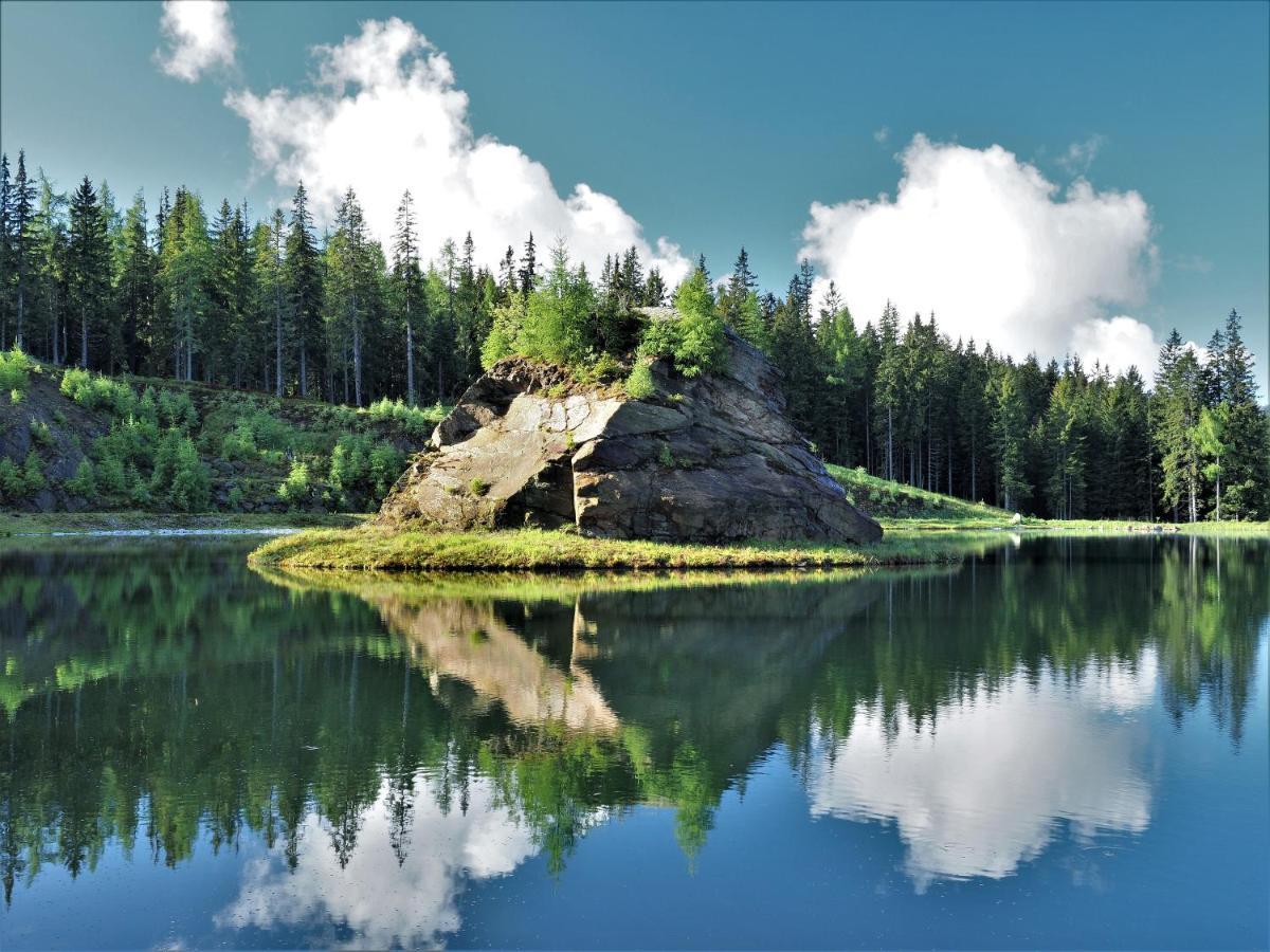 Naturforsthaus Gartenblick Fuer Hunde - Und Naturverbundene Menschen Preitenegg ภายนอก รูปภาพ