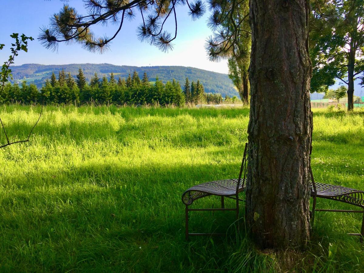 Naturforsthaus Gartenblick Fuer Hunde - Und Naturverbundene Menschen Preitenegg ภายนอก รูปภาพ