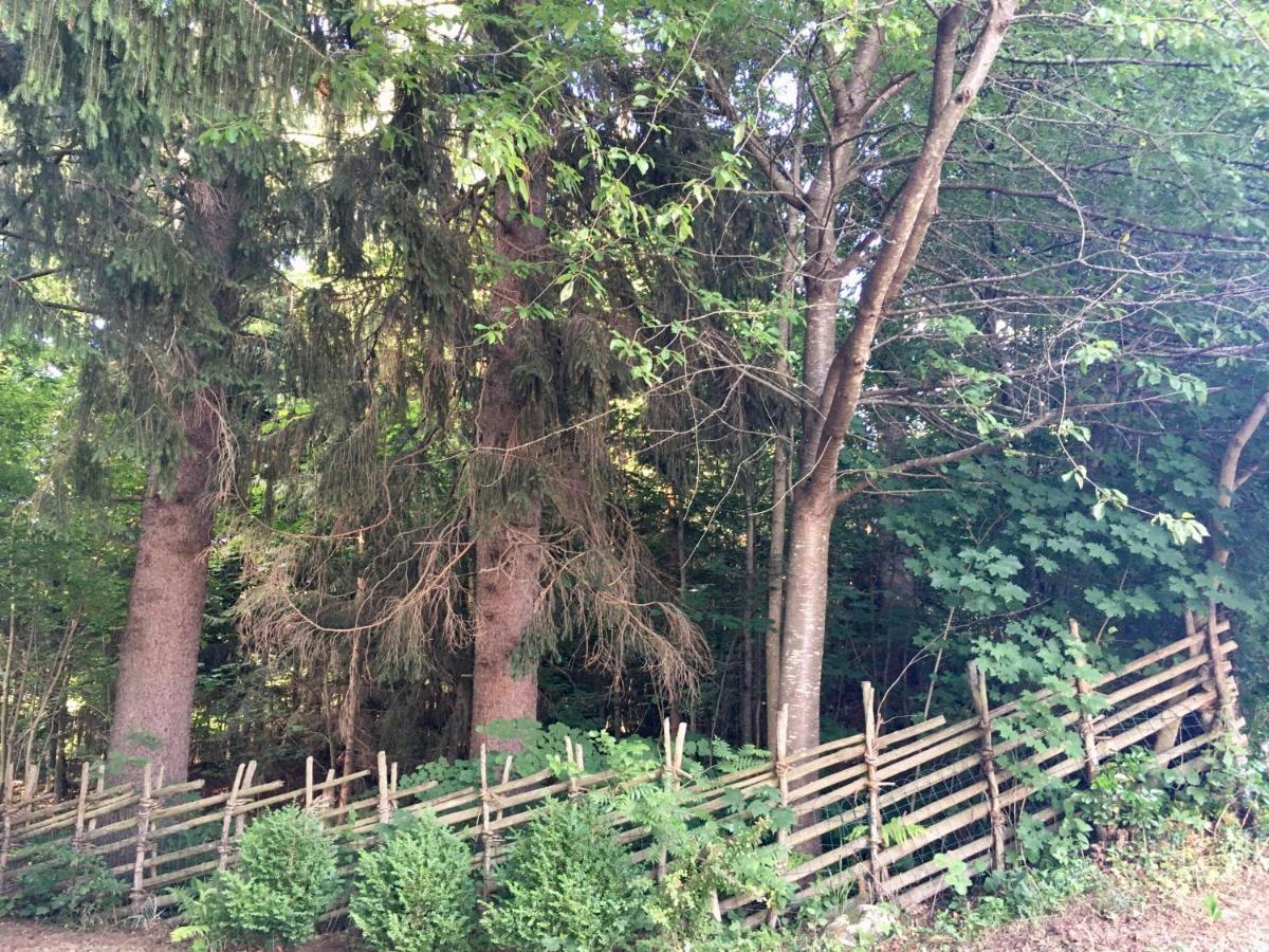 Naturforsthaus Gartenblick Fuer Hunde - Und Naturverbundene Menschen Preitenegg ภายนอก รูปภาพ