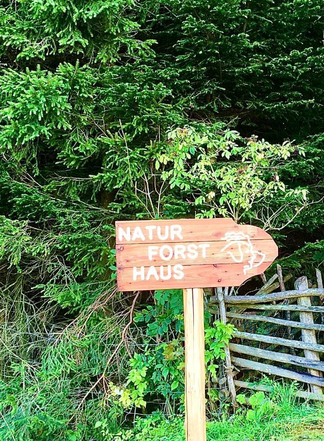 Naturforsthaus Gartenblick Fuer Hunde - Und Naturverbundene Menschen Preitenegg ภายนอก รูปภาพ