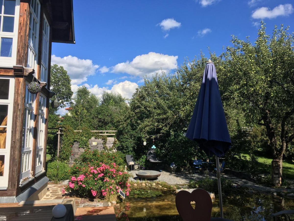 Naturforsthaus Gartenblick Fuer Hunde - Und Naturverbundene Menschen Preitenegg ภายนอก รูปภาพ