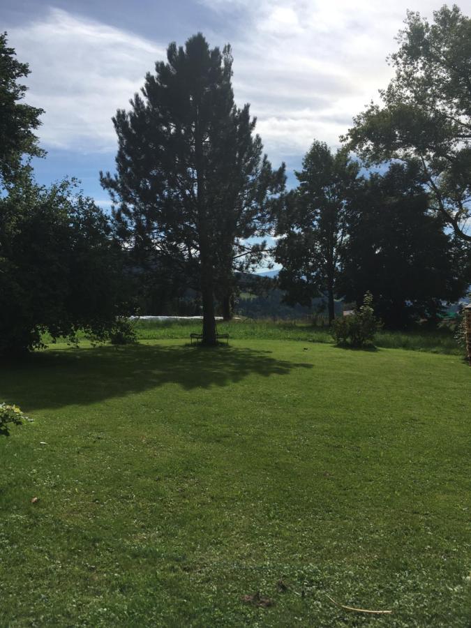 Naturforsthaus Gartenblick Fuer Hunde - Und Naturverbundene Menschen Preitenegg ภายนอก รูปภาพ