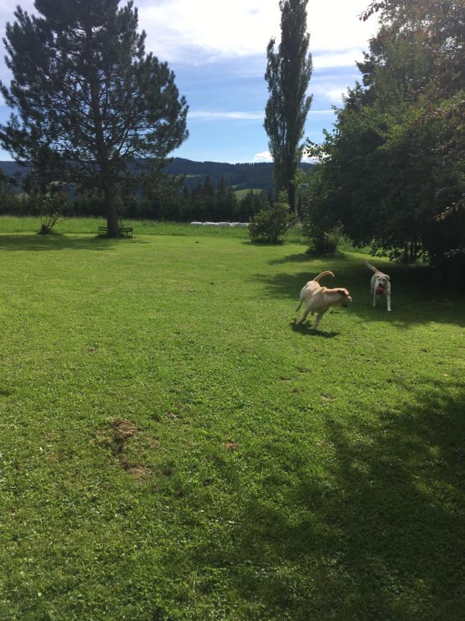 Naturforsthaus Gartenblick Fuer Hunde - Und Naturverbundene Menschen Preitenegg ภายนอก รูปภาพ