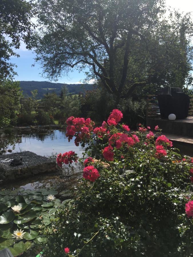 Naturforsthaus Gartenblick Fuer Hunde - Und Naturverbundene Menschen Preitenegg ภายนอก รูปภาพ